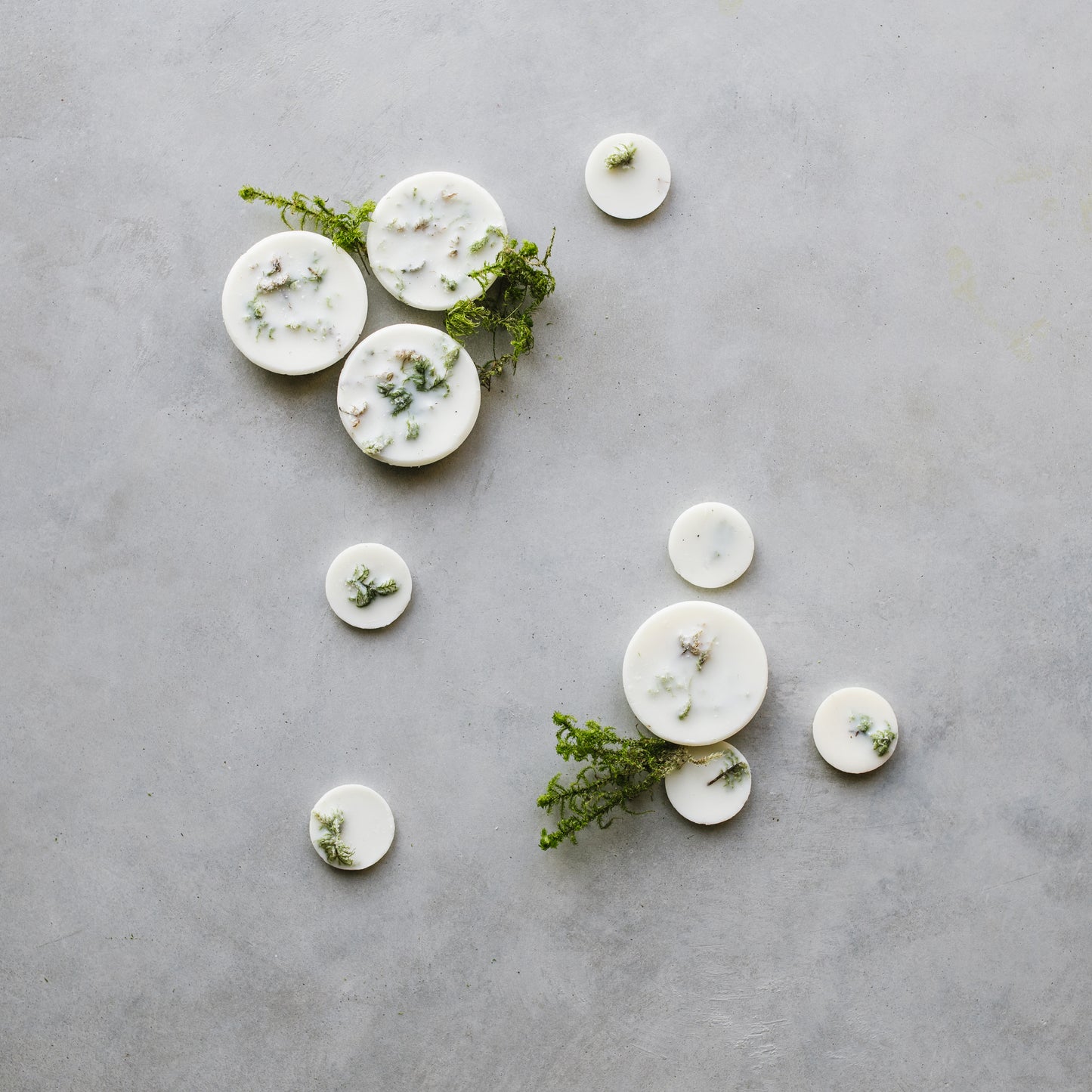 Moss scented wax rounds