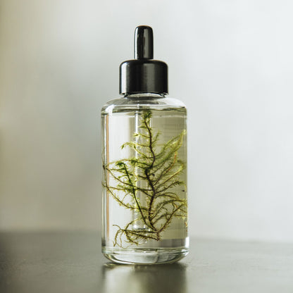 Moss organic body oil